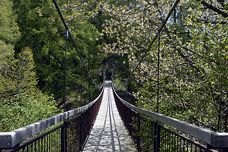 brown wooden hanging bridge with trees around it thumbnail