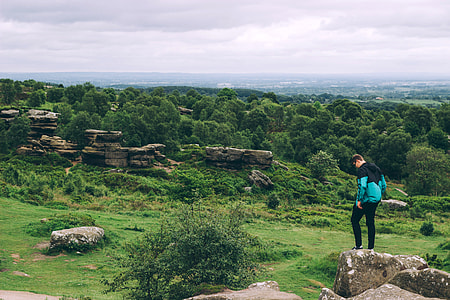 Brimham Rocks in Summerbridge, England thumbnail