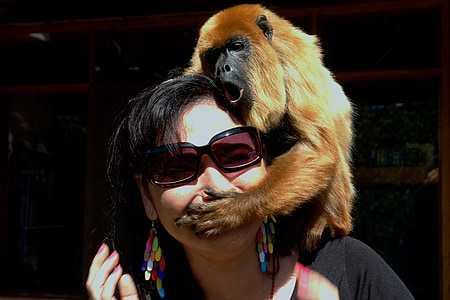 brown on top of woman in black sunglasses thumbnail