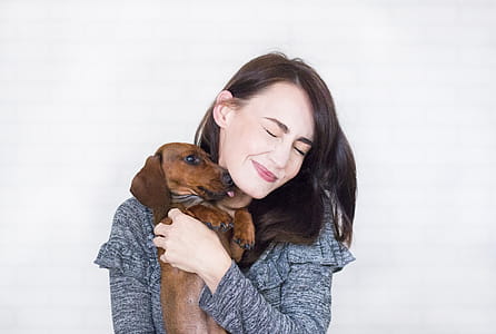 Woman In Grey Top Hugging Brown Dachshund thumbnail