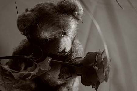 grayscale photo of bear holding rose floewr thumbnail