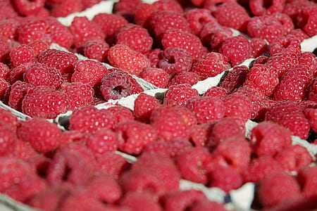 raspberries thumbnail