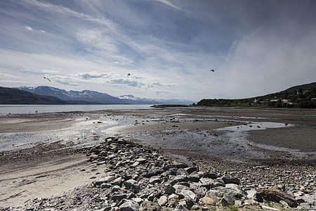 rocks near shore beside body of water thumbnail