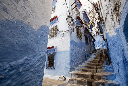 blue and white concrete building during daytime thumbnail
