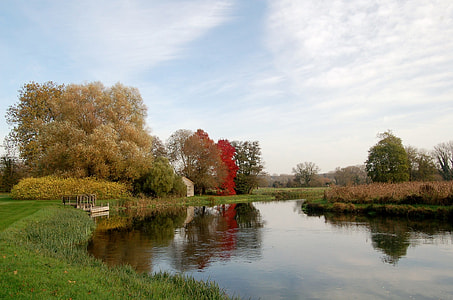 orange and green trees beside body of water at daytime landscape photography thumbnail