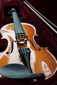 brown violin inside case thumbnail