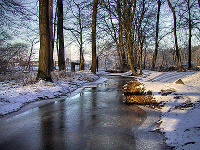 bare tree and river under blue sky during daytime thumbnail