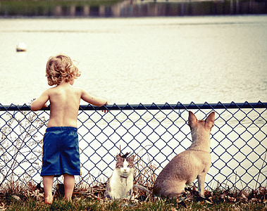 children in blue shorts beside white and gray cat in front of body of water during daytime thumbnail