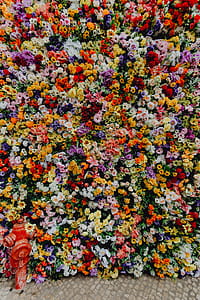 Fest Santo Antonio - Various color flower background wall - Museu de Lisboa, Lisbon, Portugal thumbnail