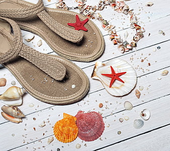 pair of brown thong sandals on wood floor thumbnail