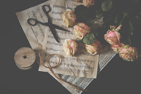 flay-lay photography of white and pink rouse bouquet beside shears thumbnail