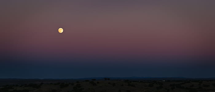 Moon on Low Angle View Photography thumbnail