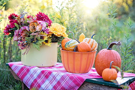 assorted-color petaled flower arrangement thumbnail