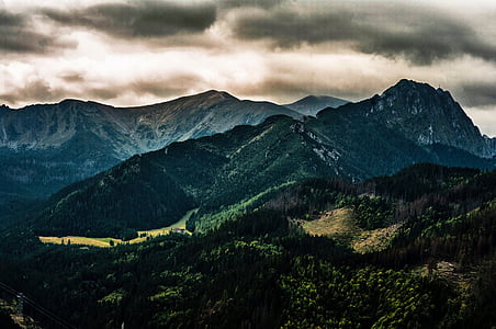 aerial photography of mountain forest thumbnail