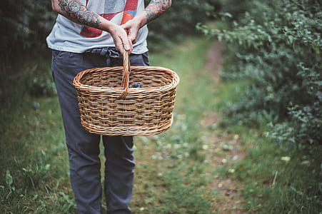 person holding brown wicker basket thumbnail