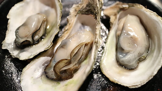 photo of three oysters thumbnail