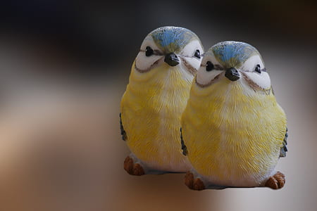 yellow and blue birds thumbnail