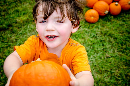 boy wearing orange shirt holding pumpkin thumbnail