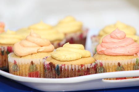 Photography of Cupcakes on Tray thumbnail