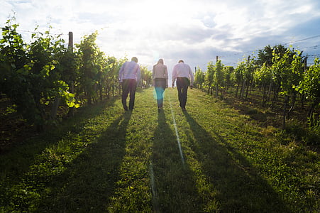 three person walking between plants during daytime thumbnail