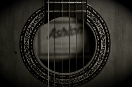 grayscale photography of guitar strings thumbnail