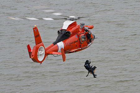 man hanging on rope saving dog under red and black helicopter thumbnail