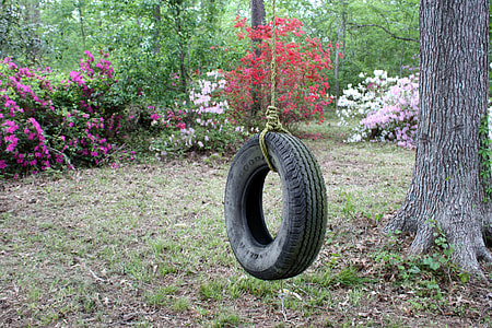 photography of tire swing thumbnail