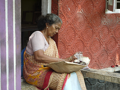woman wearing white and brown sari thumbnail