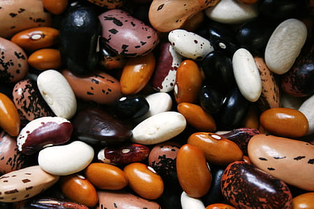 bunch of seeds thumbnail