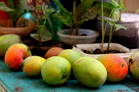 two green mangoes thumbnail