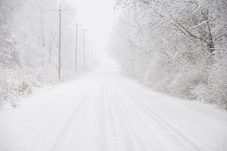 trees and road covered in snow thumbnail