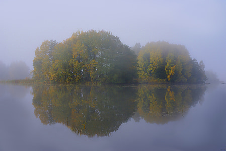 island with trees thumbnail