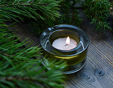 clear glass candle holder with candle near green pine plant thumbnail