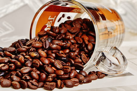 assorted coffee beans thumbnail