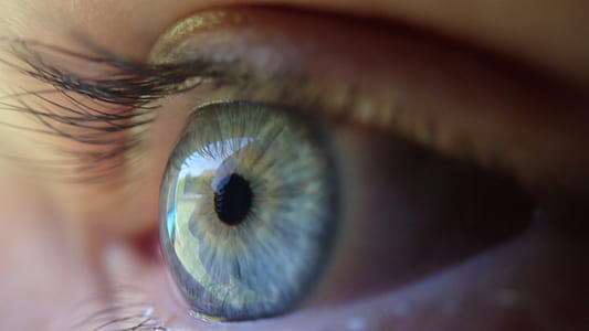 left human eye thumbnail