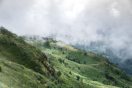 mountain surrounded by fog thumbnail