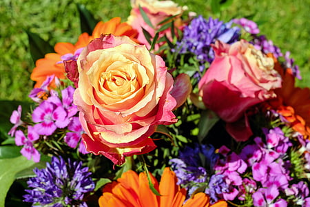 photography of bouquet roses thumbnail