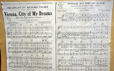 Vienna City of My Dreams musical notes thumbnail