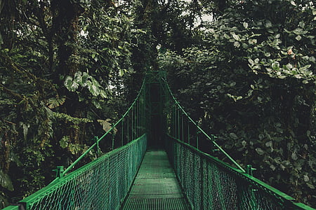 unused green bridge thumbnail