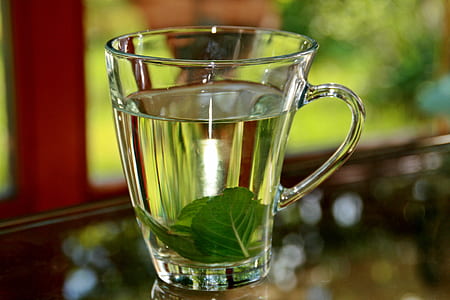 clear glass mug filled of clear liquid thumbnail