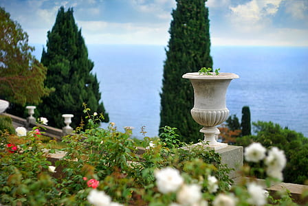 white concrete vase on ledge thumbnail