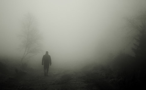 man walking near tree thumbnail