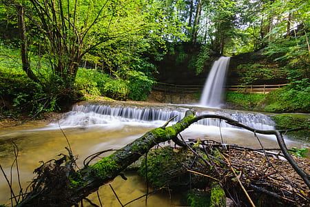 falls surrounded with trees thumbnail