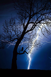 Black three with thunder background picture thumbnail