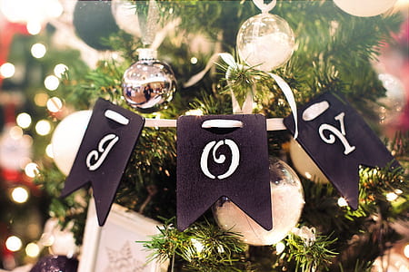 photography of christmas tree thumbnail