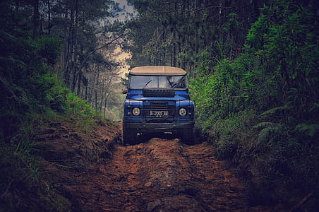 Blue Car on Dirt Road Between Green Leaf Trees thumbnail