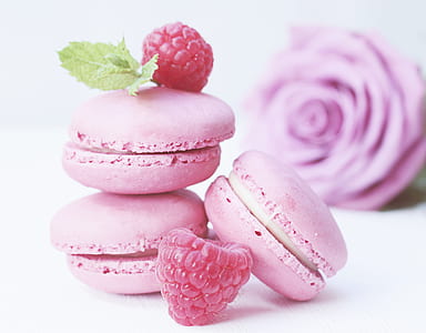 pink macarons, raspberries, and pink rose flower with white background thumbnail