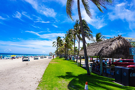 people in front beach at daytime thumbnail