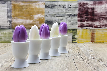 five white purple and white tulip flowers with white vases on table thumbnail
