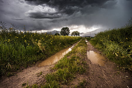 brown pathway beside grass field thumbnail